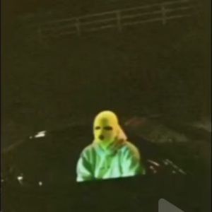 Meet your Posher, Maddie